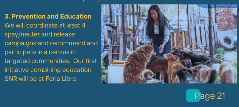 Spay and neuter programs